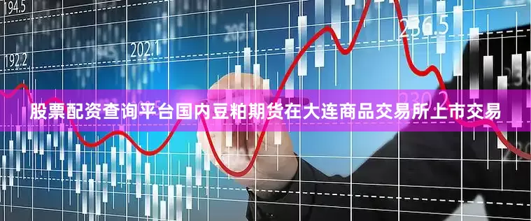 股票配资查询平台国内豆粕期货在大连商品交易所上市交易